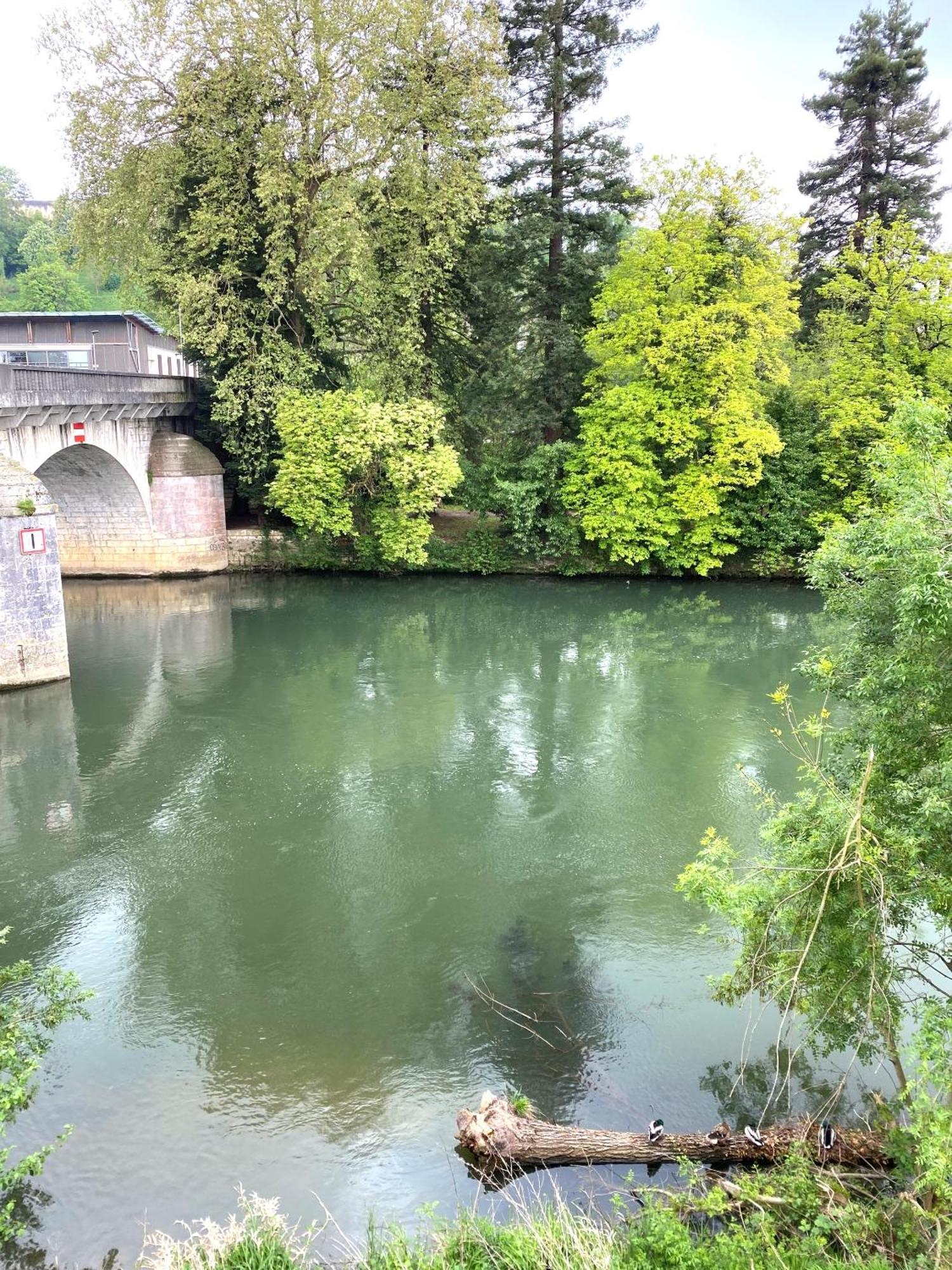 Confortable T2 Sur Les Rives De La Charente أنغوليم المظهر الخارجي الصورة